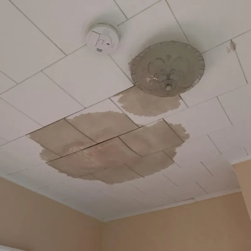 Ceiling Water Damage Repair in Whiteville, NC