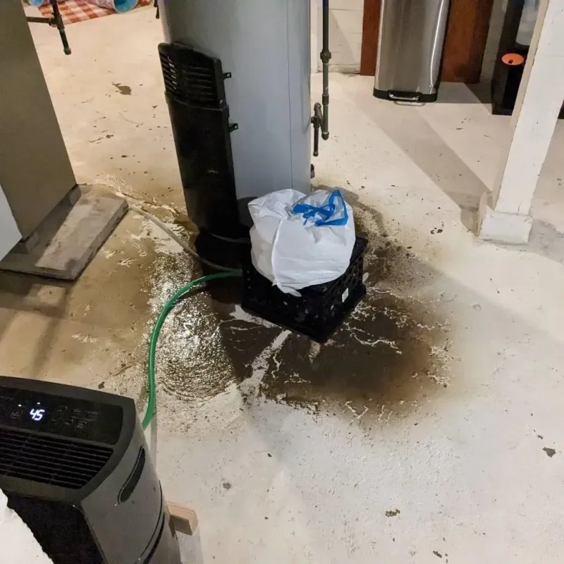 Sewage Backup Cleanup Service in Whiteville, NC